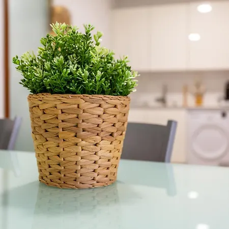 Eva Garcia Naranjo לאס פאלמס דה גראן קנאריה