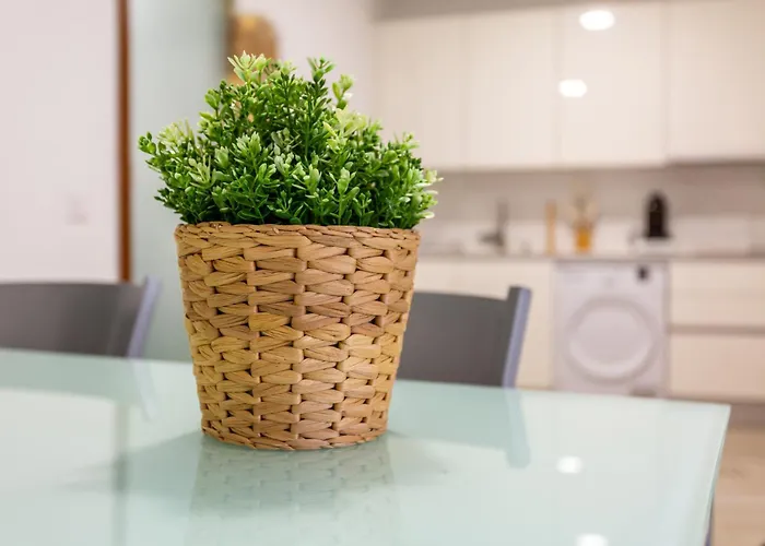 Eva Garcia Naranjo Las Palmas de Gran Canaria